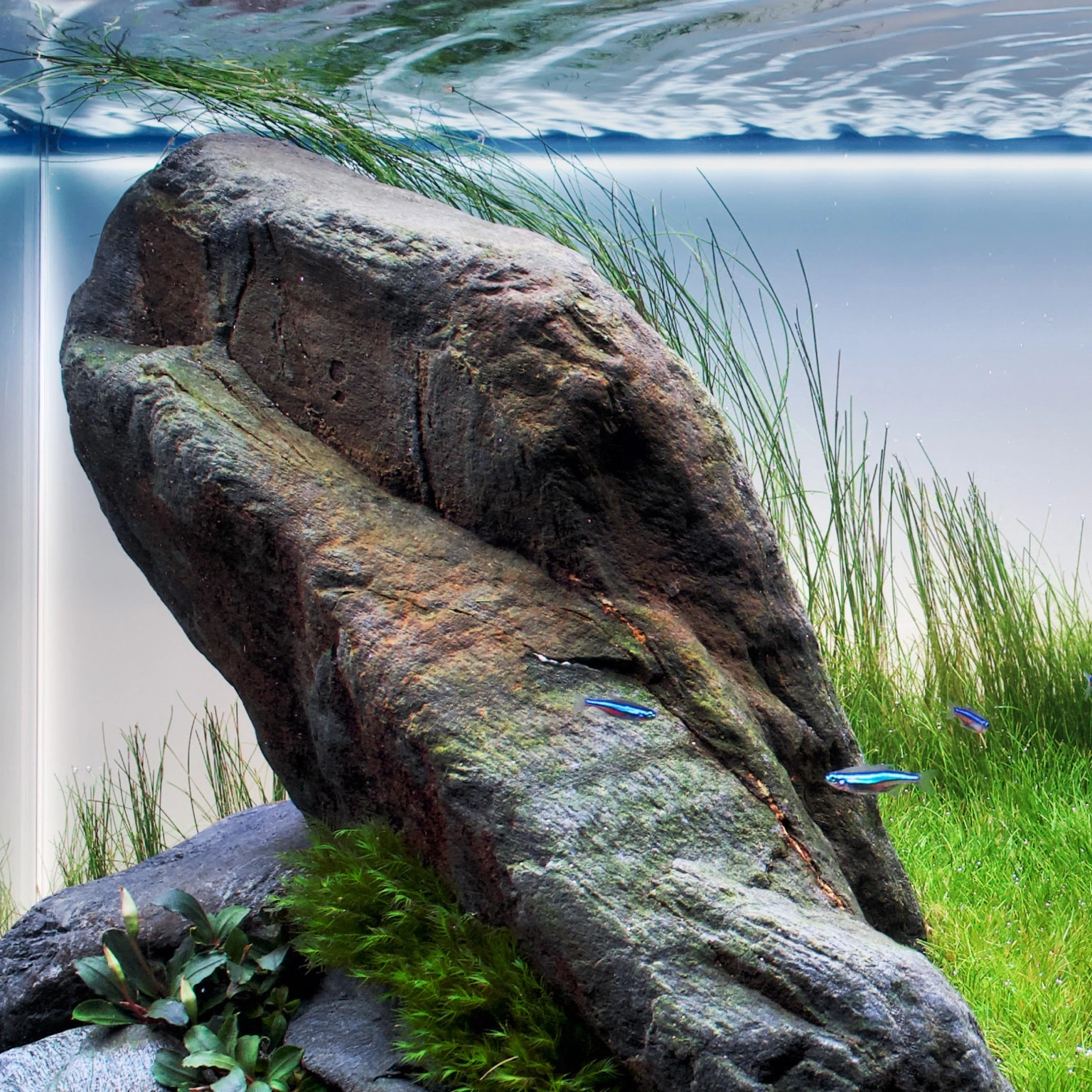 Step Aside – detail 2